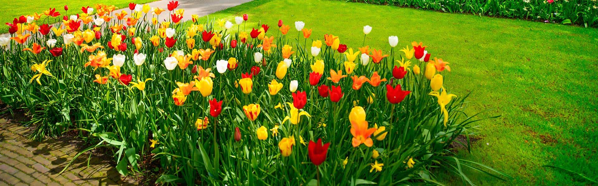 Keep your lawn green and your flowers beautiful!