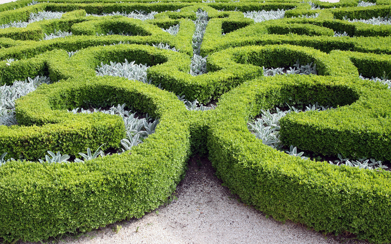 garden trees