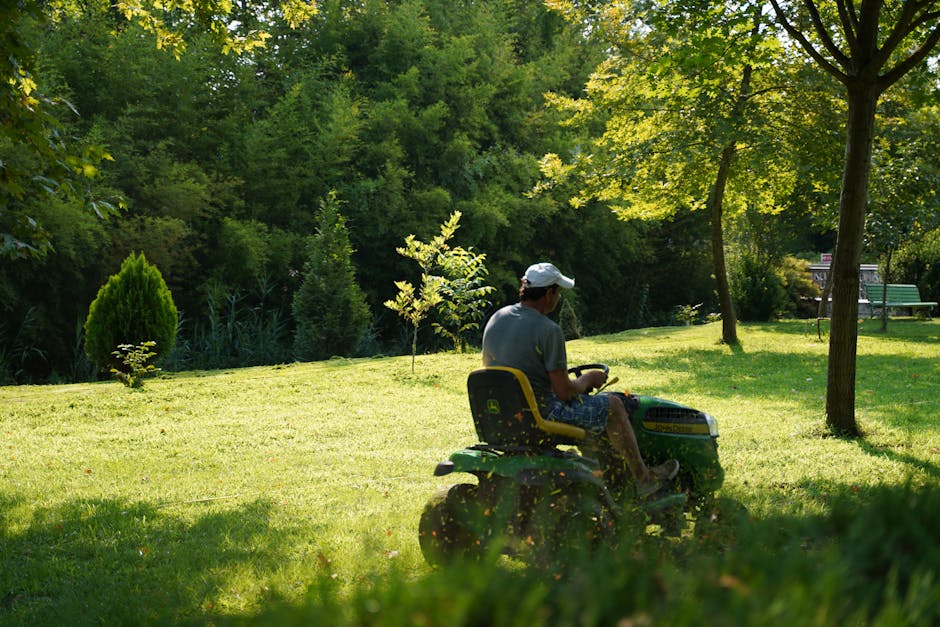 A man wearing a grey t-shirt, patterned shorts, and a white cap is operating a green riding lawn mower on a neatly cut grassy lawn within a park setting. The lawn features a variety of young and mature trees with lush green leaves, casting dappled shadows across the area. In the background, there are landscaped garden beds with small, conical evergreen shrubs and taller trees with spreading canopies, creating a natural border. A paved pathway and a green park bench are visible off to the side, surrounded by dense foliage and mature trees, contributing to the park's tranquil environment. The scene is illuminated by bright natural daylight, highlighting the vibrancy of the greenery and the well-maintained landscape. This setting exemplifies professional garden maintenance work, likely performed by Gardeners Merton, emphasizing lawn care, hedge trimming, and general outdoor upkeep.