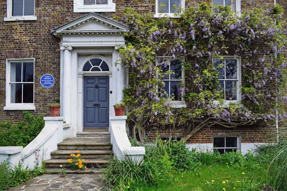 The image depicts the front entrance of a brick residential building with a classic white columned porch and a blue front door. The porch is accessed by a short flight of stone steps with white curved railings on either side. Flanking the door are two terracotta pots containing small green plants, and there is a small yellow flower growing at the base of the steps. To the right of the entrance, a large climbing plant with purple wisteria blooms and green leaves spreads across the brick wall, framing two white-framed windows. The garden in front of the house features a variety of plants, including grassy patches, leafy bushes, and flowering yellow flowers near the stone pathway. The environmental setting is natural, well-maintained, and inviting, with soft daylight illuminating the scene. The overall appearance suggests ongoing garden maintenance, possibly performed by professionals like Gardeners Merton, who specialize in garden care and landscaping work in the Wimbledon Common area.